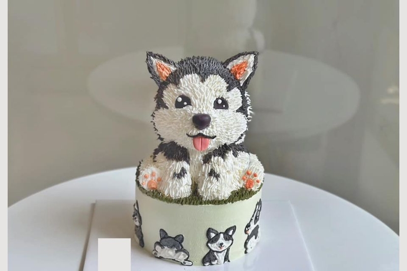 Mẫu bánh hình chó Husky mạnh mẽ