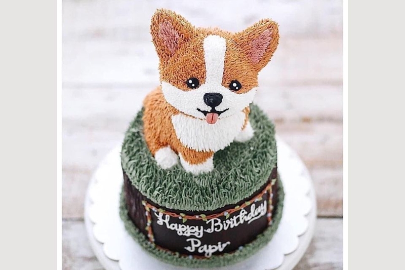Bánh sinh nhật hình chó Corgi ngộ nghĩnh