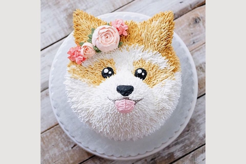 Sáng tạo hình chó Shiba Inu tinh tế