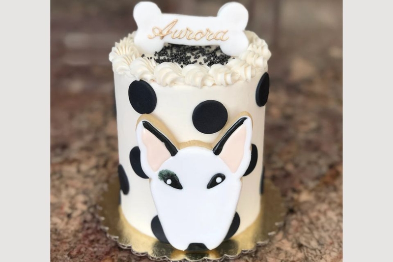 Bánh hình chó Bull Terrier cá tính