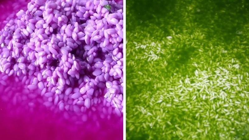 bánh tét ngũ sắc 3