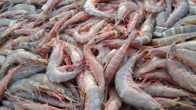 bánh tôm cuộn sừng trâu bằng nồi chiên không dầu 2
