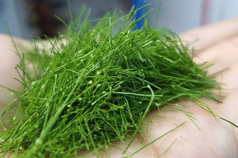 Bánh trung thu nướng nhân thập cẩm chay 2
