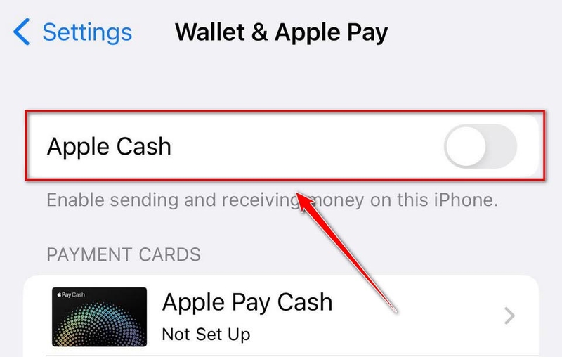 Bảo dưỡng iPhone, iPad - 04