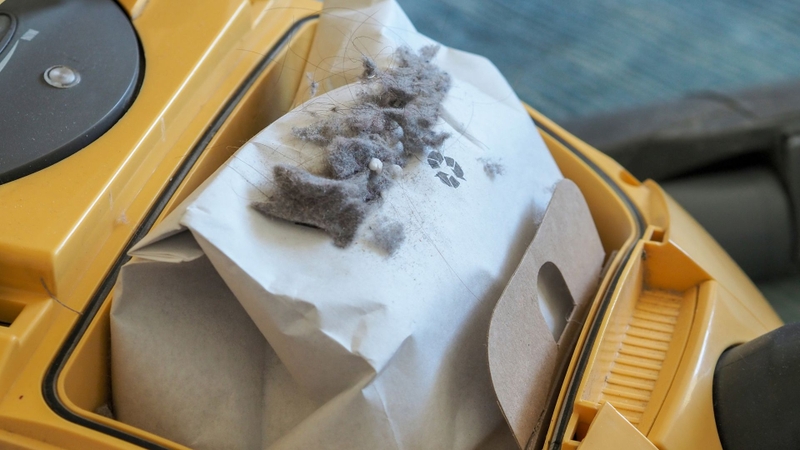 Kiểm tra túi hoặc hộp chứa bụi