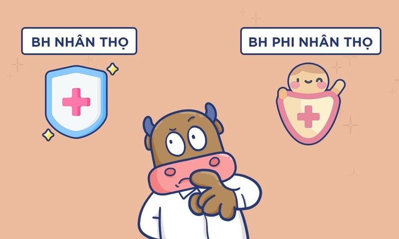 bảo hiểm phi nhân thọ là gì ảnh 4