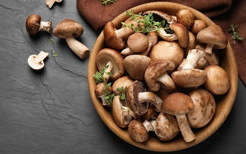 bào ngư hầm thuốc bắc ảnh 1