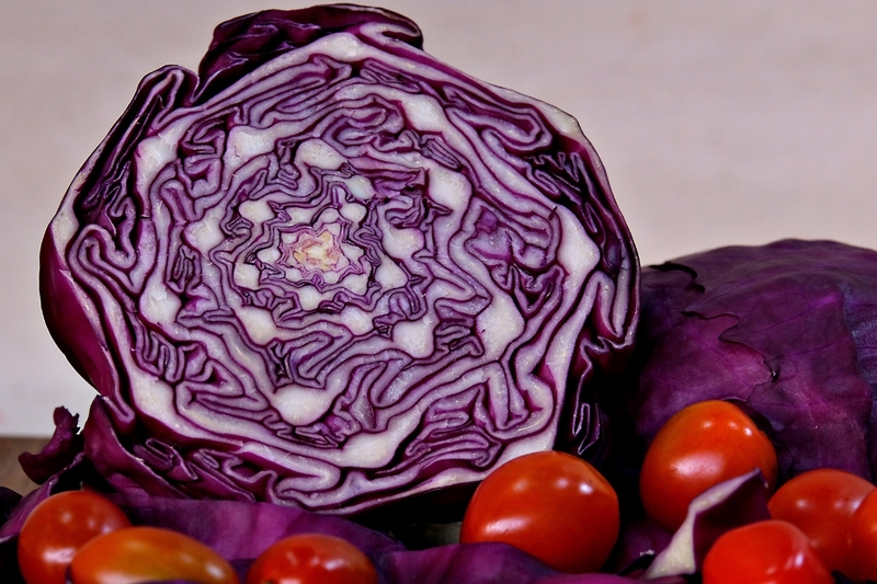 bắp cải tím 9