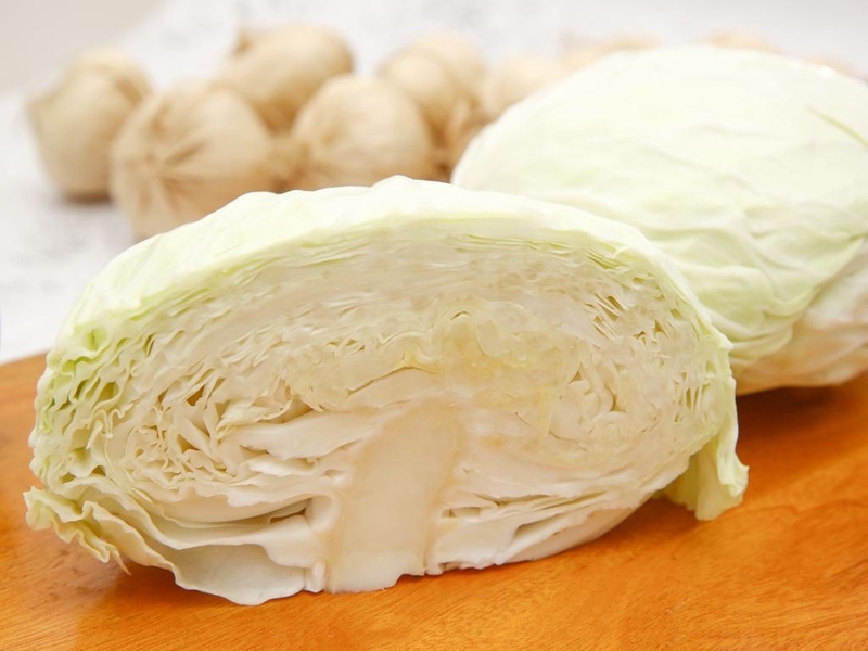 Bắp cải trắng 6