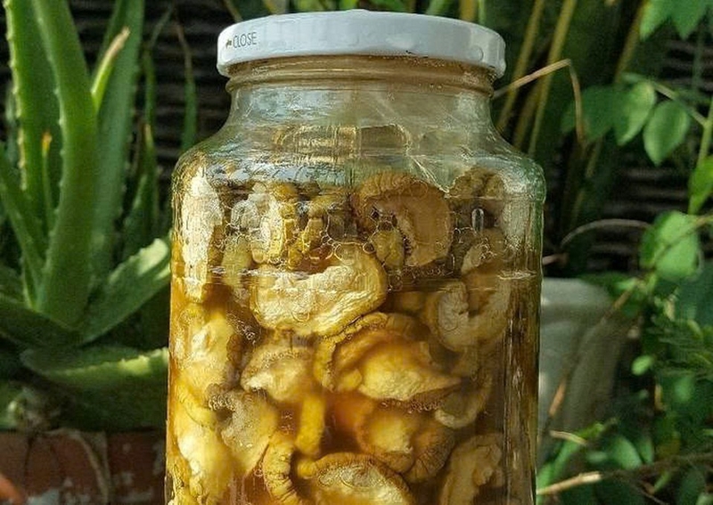 bầu muối chua ảnh 6