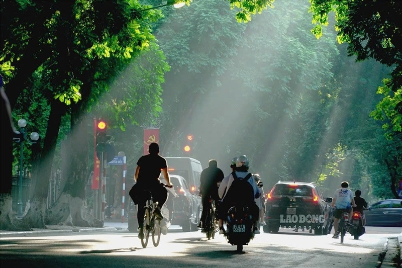 Bây giờ là mùa gì ở Việt Nam ảnh 6