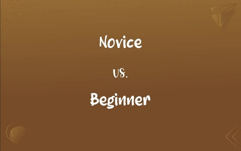 Beginner là gì ảnh 3
