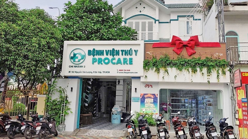 bệnh viện thú y gần đây 2