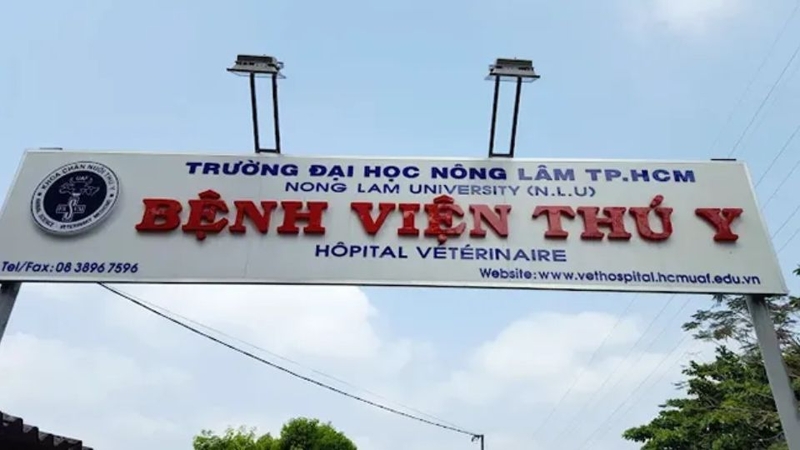 bệnh viện thú y gần đây 3