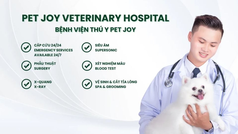 bệnh viện thú y gần đây 4