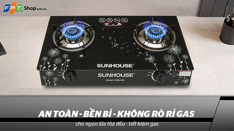 Bếp ga dương tốt nhất 2025 - 04