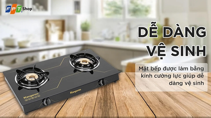 Bếp ga dương tốt nhất 2025 - 05