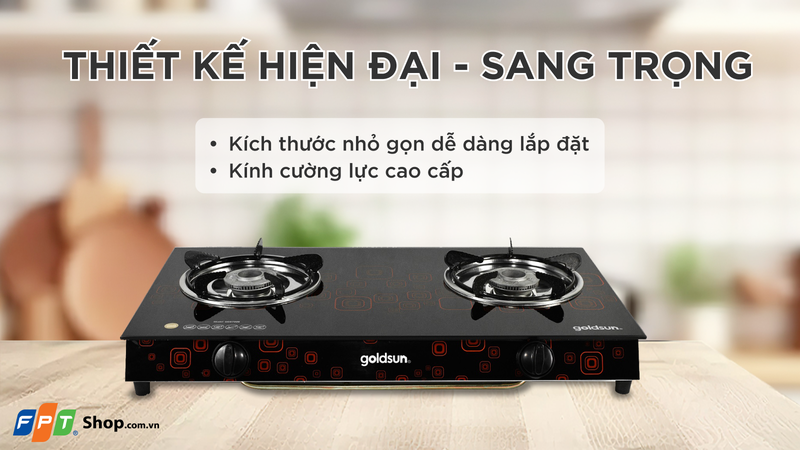 Top 6 bếp ga dương tốt nhất 2026 3
