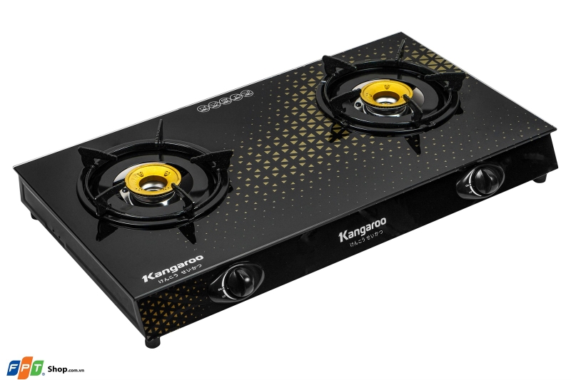 Top 6 bếp ga dương tốt nhất 2026 5