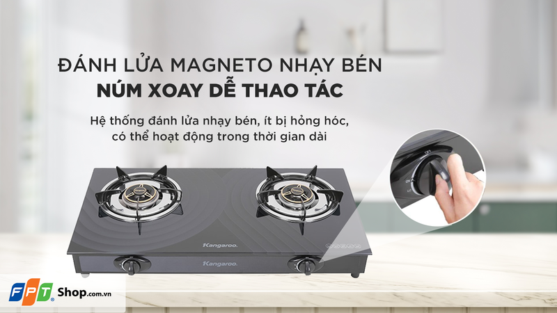 Top 6 bếp ga dương tốt nhất 2026 6