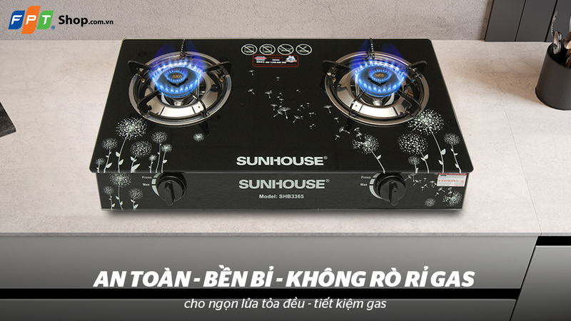 Top 6 bếp ga dương tốt nhất 2026 8