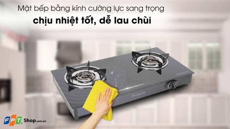 Top 6 bếp ga dương tốt nhất 2026 2