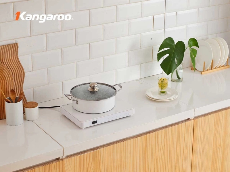 bếp từ nhỏ gọn để nấu lẩu 1