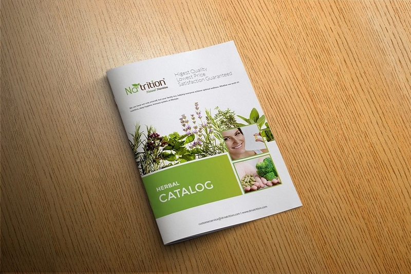 Bìa catalogue phong cách thiên nhiên