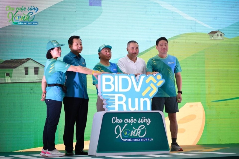 bidv run (ảnh 1)