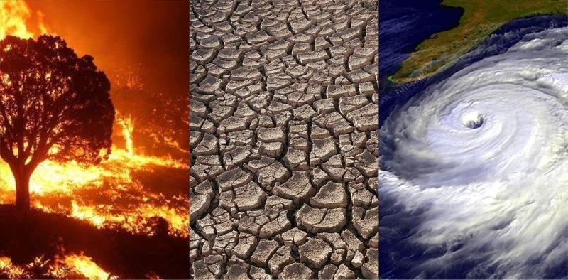 What is climate change? Learn the causes, consequences and solutions
