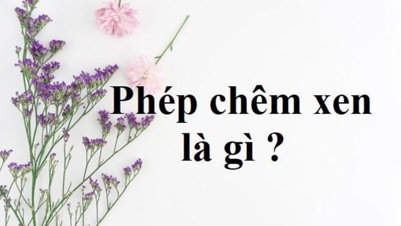 chêm xen là gì 1