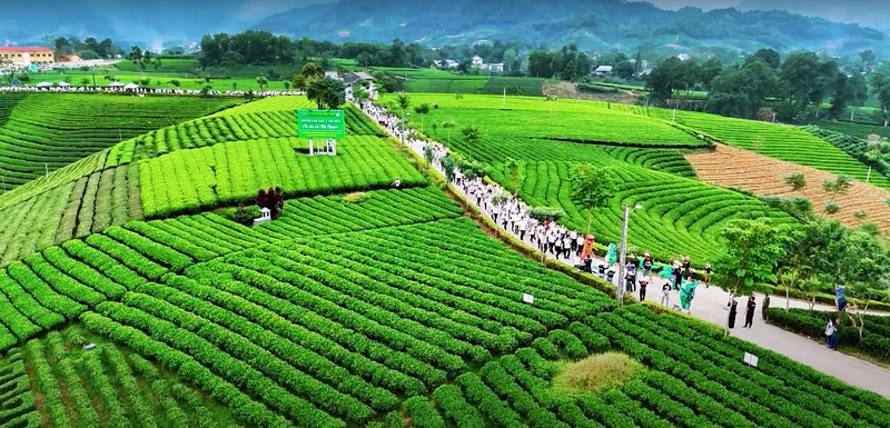 biển số xe 20 là tỉnh nào 1.png