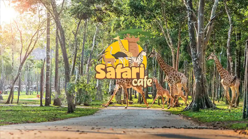Safari Cafe Phan Thiết