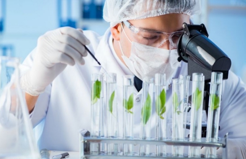biotechnology là gì ảnh 4