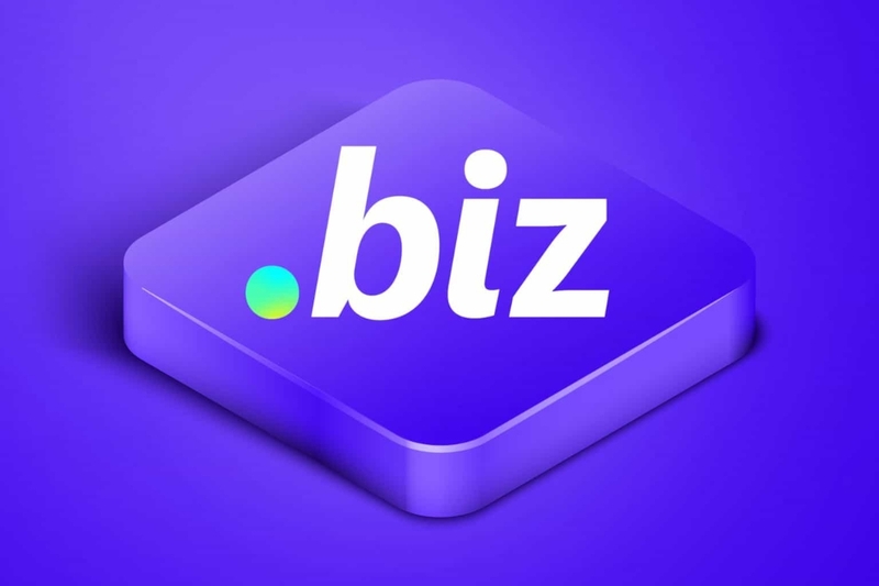 biz là gì 2