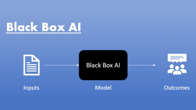 Blackbox AI chỉ hệ thống trí tuệ nhân tạo có quá trình xử lý dữ liệu kín