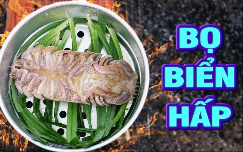 Bọ biển là con gì 5