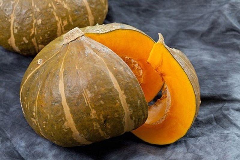 bồ câu hầm bí đỏ 2