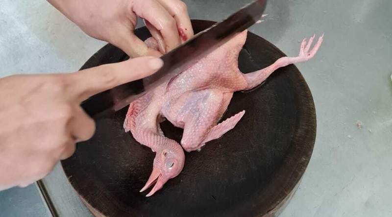 bồ câu hầm bí đỏ 3