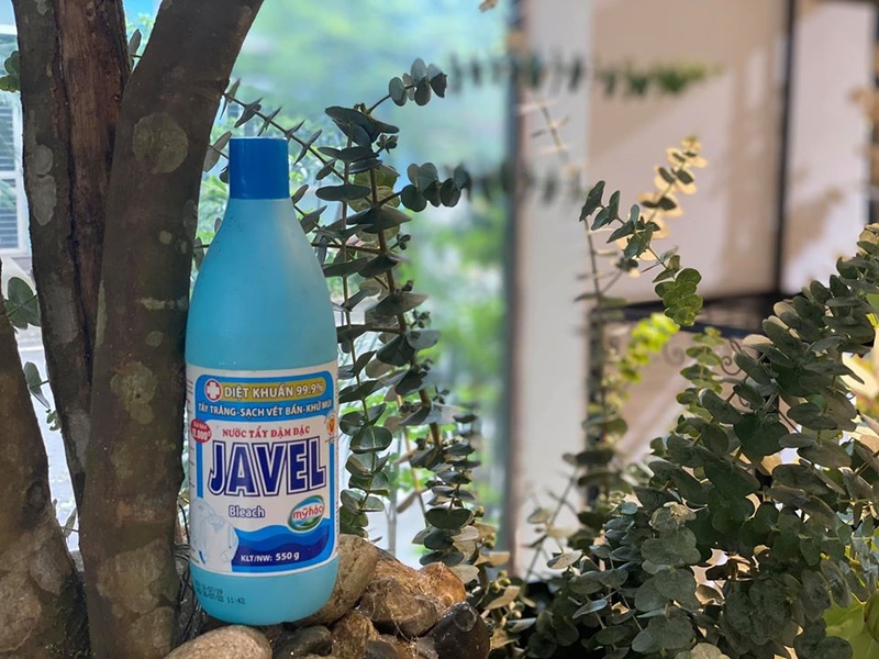 Bỏ gì vào nước để hoa tươi lâu