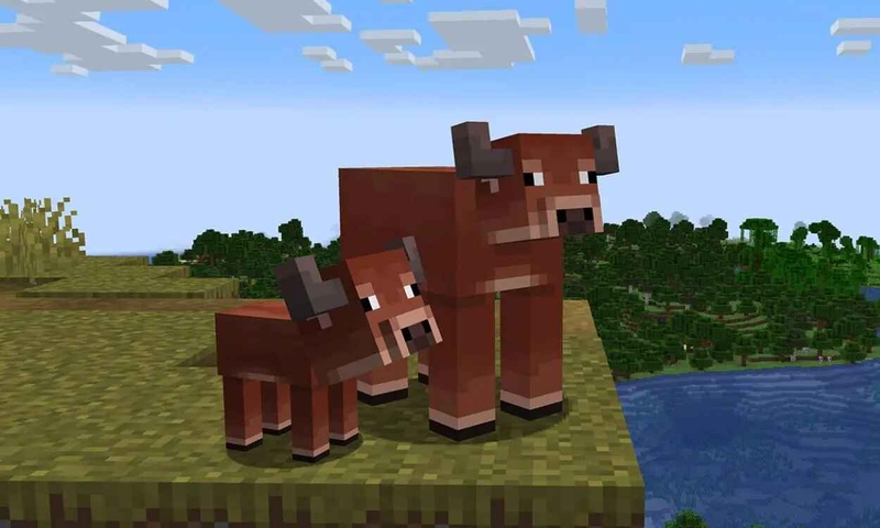 bò minecraft hình 2