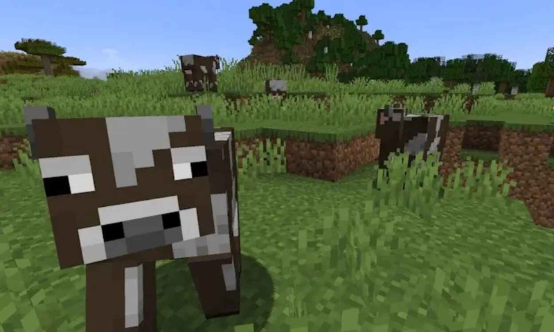 bò minecraft hình 4