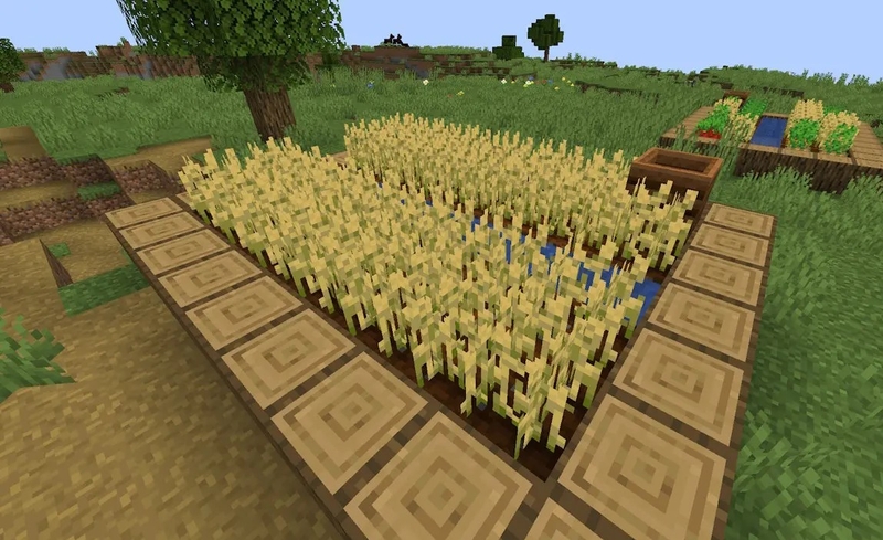 bò minecraft hình 5