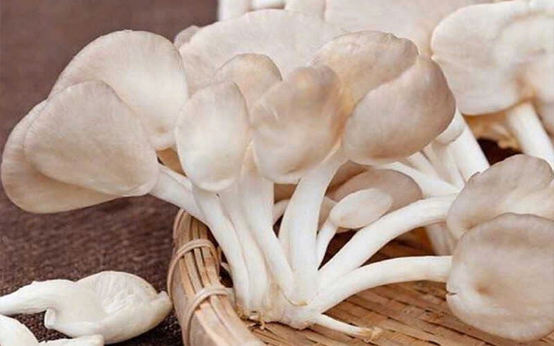 bông cải xào nấm ảnh 1