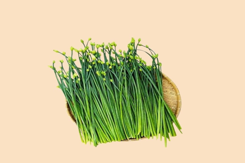 bông hẹ 4