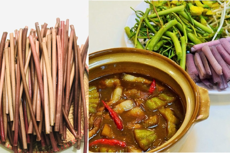 Bông súng (3)