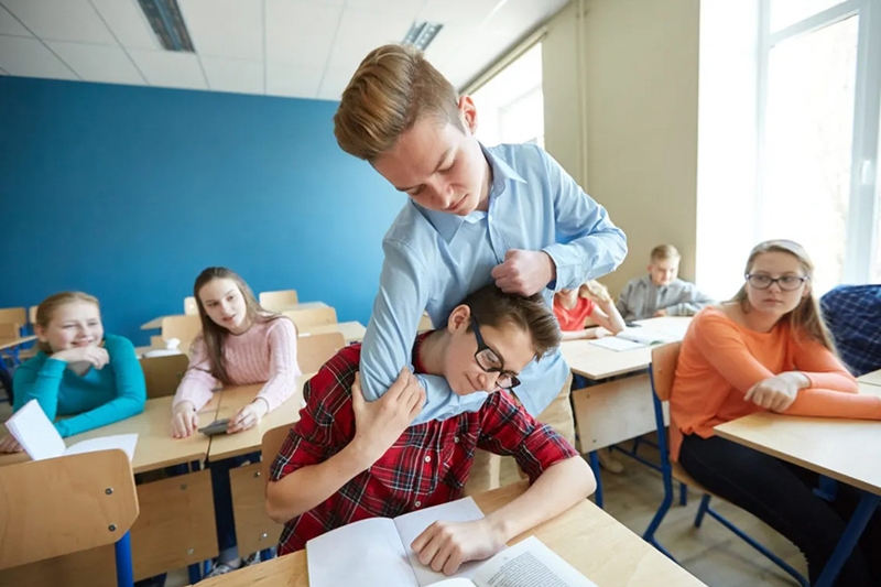 Bully là gì 3