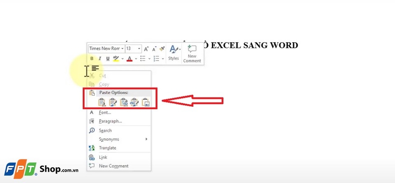 Chuyển sang Word và quan sát tùy chọn "Paste Options"