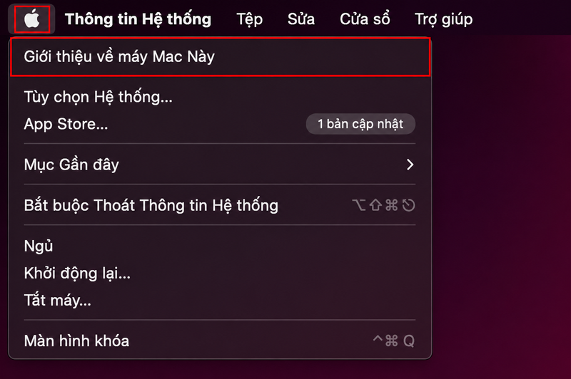 Cách kiểm tra Bus RAM đang dùng trên MacBook