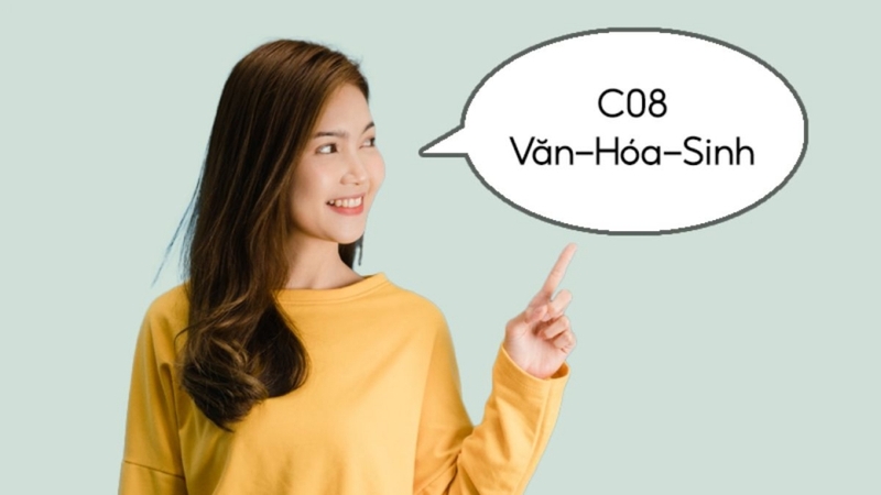 Khối C08 gồm có 3 môn học là Ngữ Văn, Hoá Học và Sinh Học